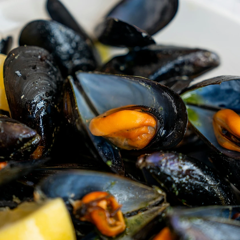Moules fraîches accompagnées de quartiers de citron